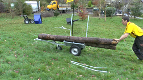 Arb Trailer with long length of timber